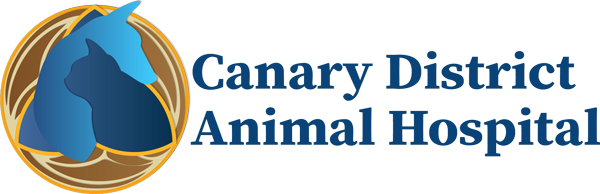 Canary District Animal Hospital
